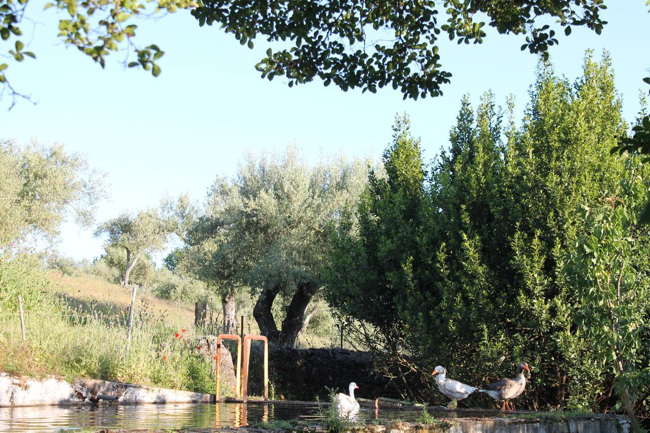 Finca La Carnicera Constantina Kültér fotó