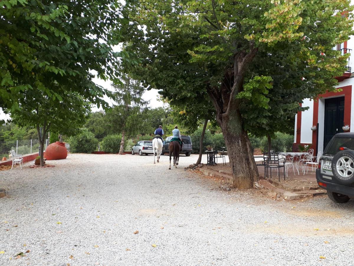 Finca La Carnicera Constantina Kültér fotó