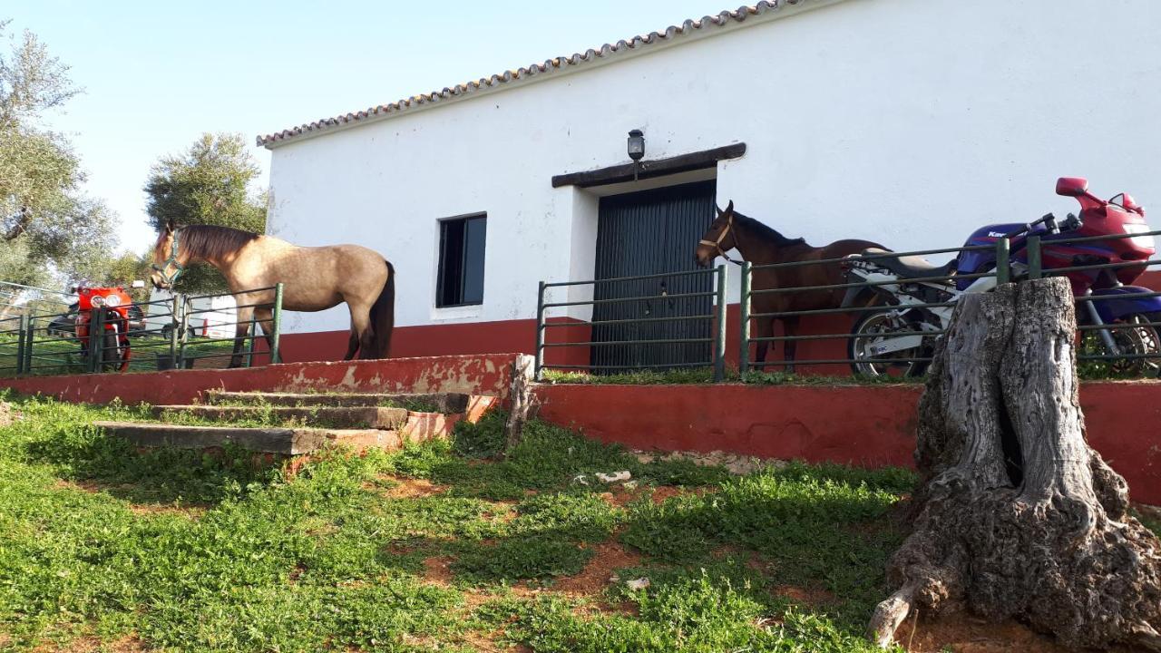 Finca La Carnicera Constantina Kültér fotó