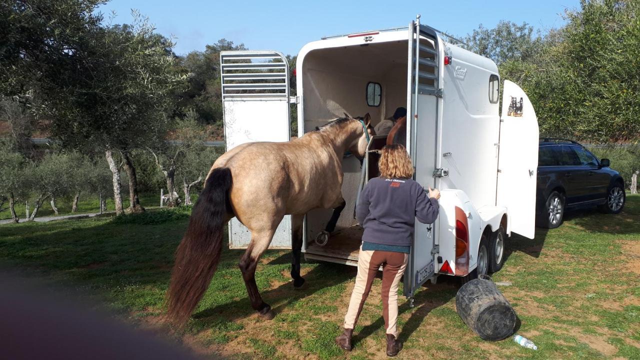 Finca La Carnicera Constantina Kültér fotó